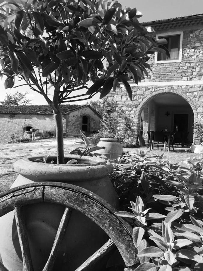 Podere Il Sasso Barberino di Mugello Luaran gambar