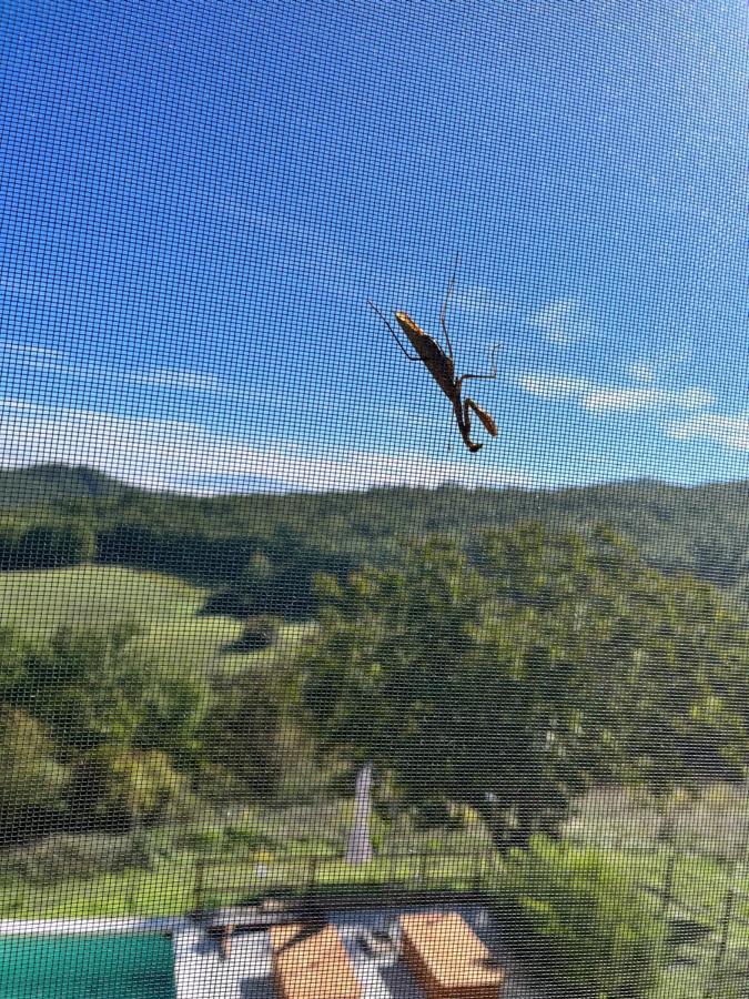 Podere Il Sasso Barberino di Mugello Luaran gambar
