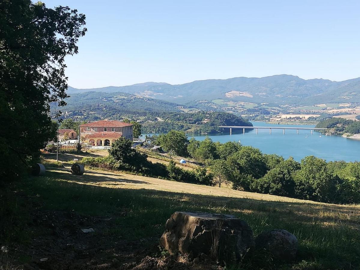 Podere Il Sasso Barberino di Mugello Luaran gambar