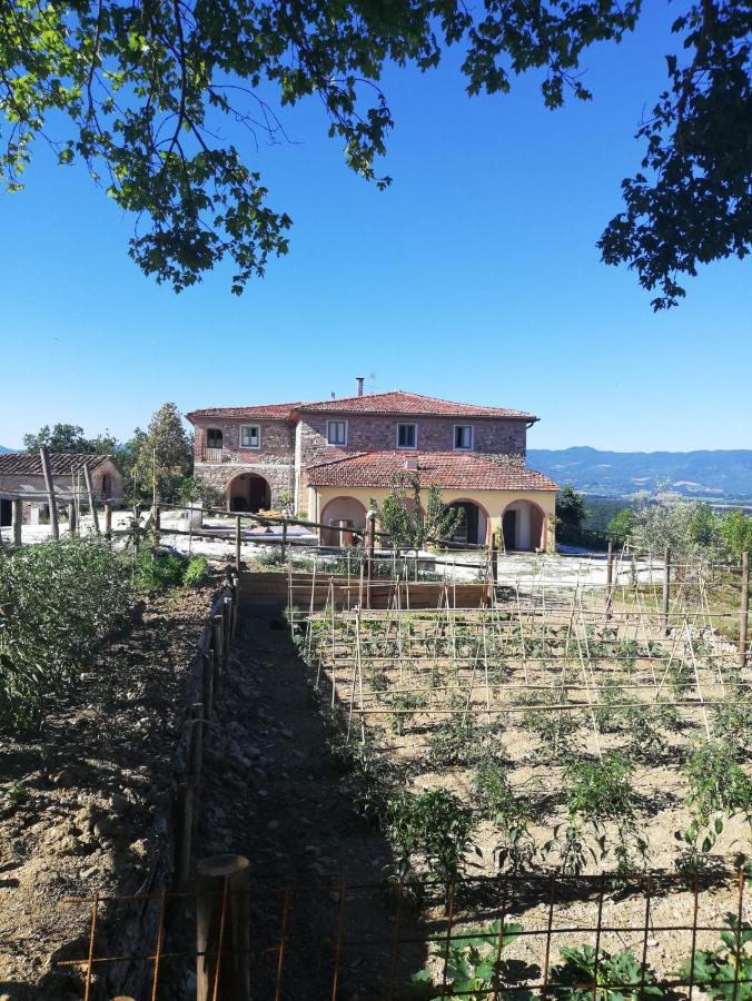 Podere Il Sasso Barberino di Mugello Luaran gambar