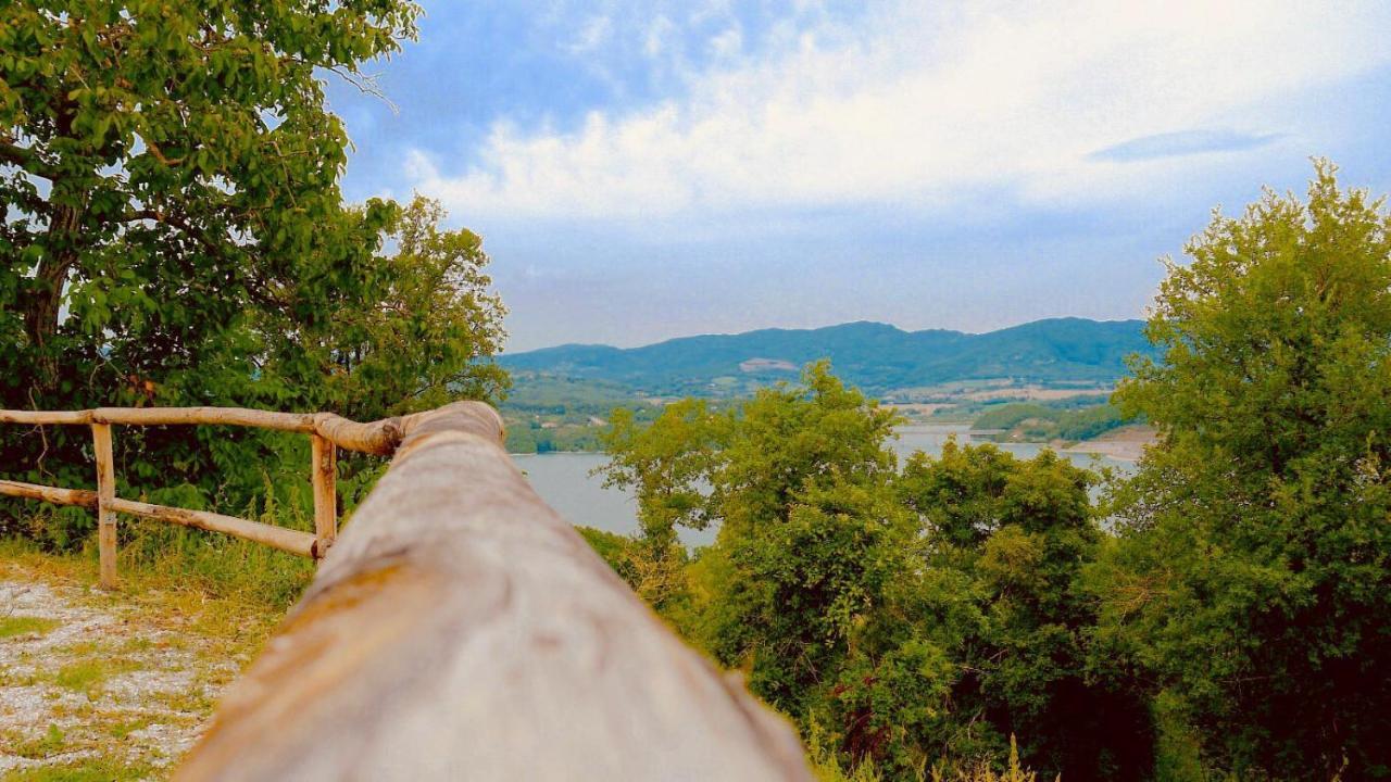Podere Il Sasso Barberino di Mugello Luaran gambar